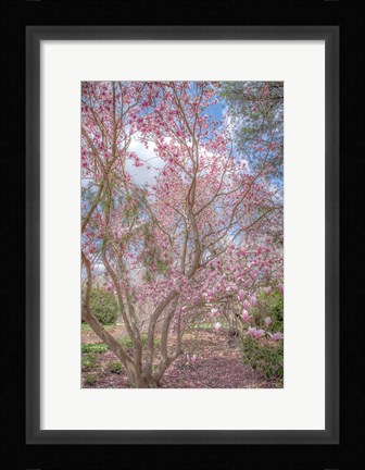 Framed Switch Of Independence Print