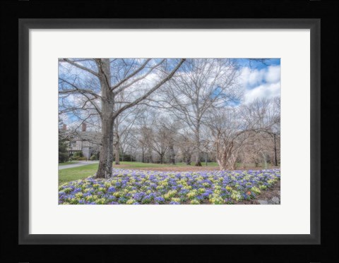 Framed Overdue Wonder Print