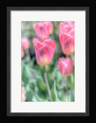 Framed Inventions Of Chemistry Print