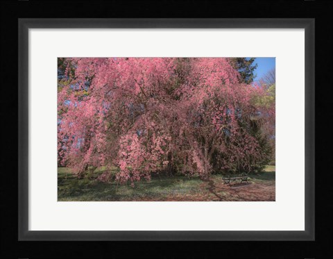 Framed Spectacular Message Print