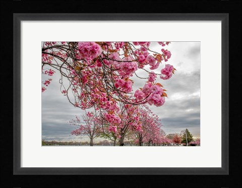 Framed Spiritual Switch 1 Print