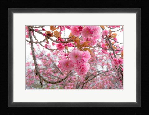 Framed Spiritual Switch 2 Print