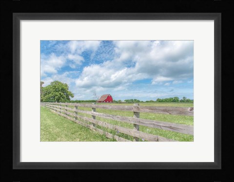 Framed Illustrious Stretch Print