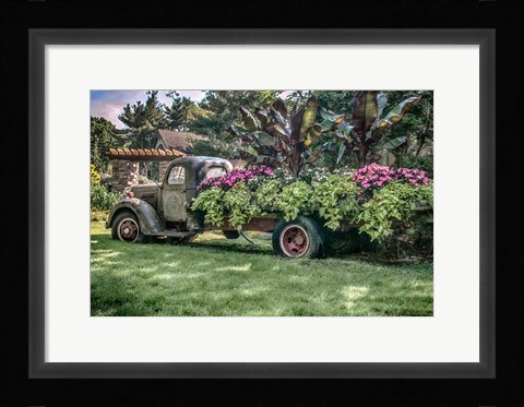 Framed Sympathy Of Generosity Print