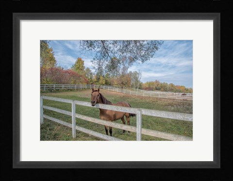 Framed Perseverance Of Amazement Print