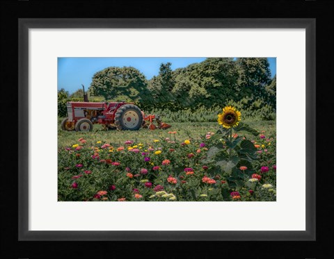 Framed James Port Print