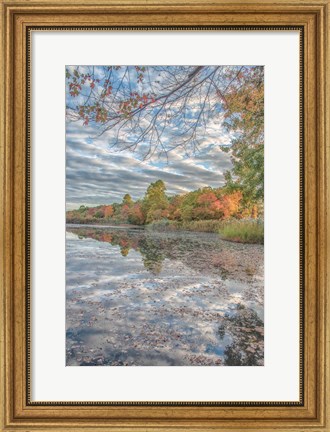Framed Bayport Fall Print