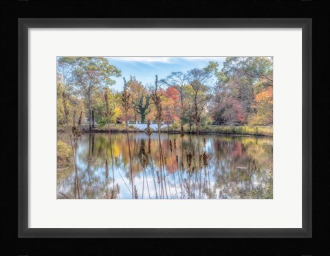 Framed Bayshore Print