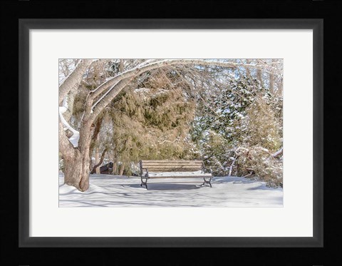 Framed Arboretum 1 Print