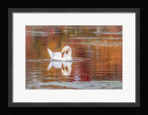 Framed Mill Pond October Print