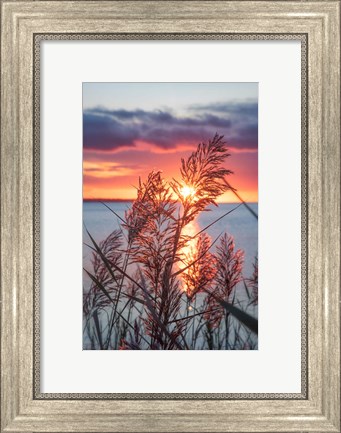 Framed Exhilarated Potential Print