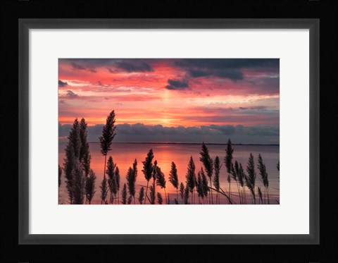 Framed Aspiring Priority Print