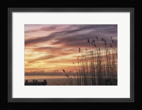 Framed Exclusive Liberty Print