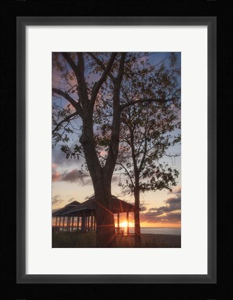 Framed Fragile Shadows Print