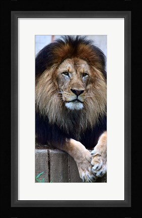 Framed Strength And Dedication Print