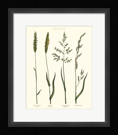 Framed Herbal Botanical Study I Ivory Print