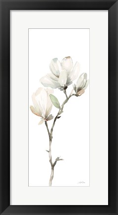 Framed White Magnolia II Panel Print