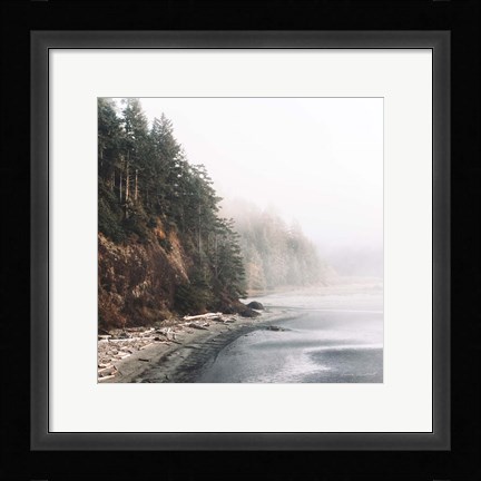 Framed Salt Creek III Color Print