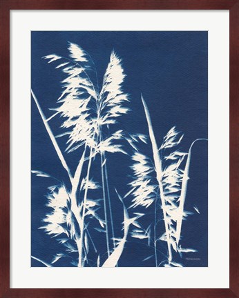 Framed Ornamental Grass VI Print