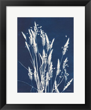 Framed Ornamental Grass III Print