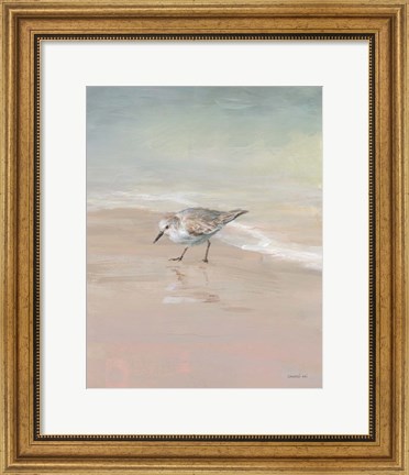 Framed Shorebirds on the Sand III Print