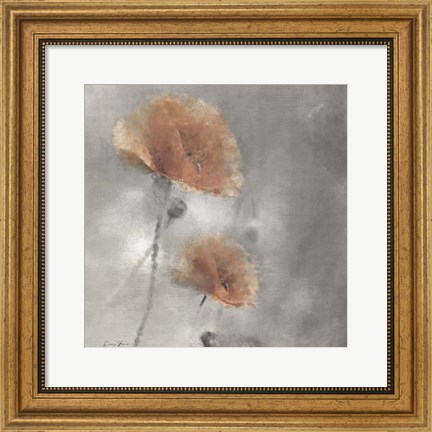 Framed Two Poppies 1 Print