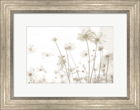 Framed Wildflowers Print