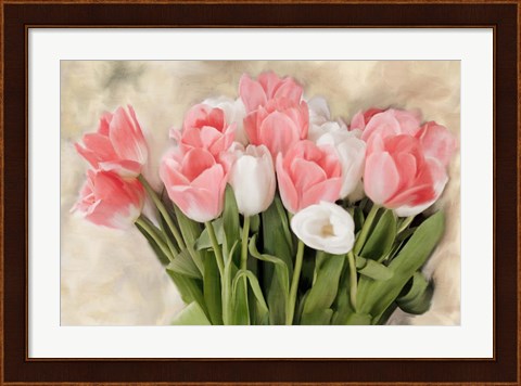 Framed Pink And White Tulips Print