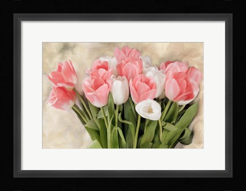 Framed Pink And White Tulips Print
