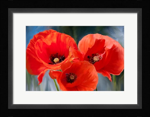Framed Poppy Trio Print
