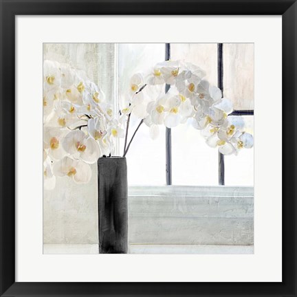 Framed Orchid Window Print