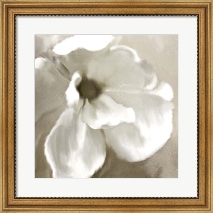 Framed Magnolia Blooming Print