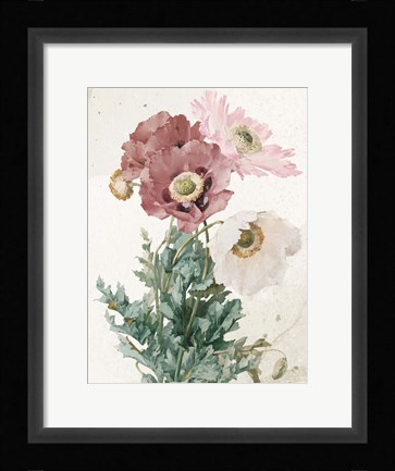 Framed Vintage Flower Print