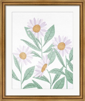 Framed Daisies Floral Print