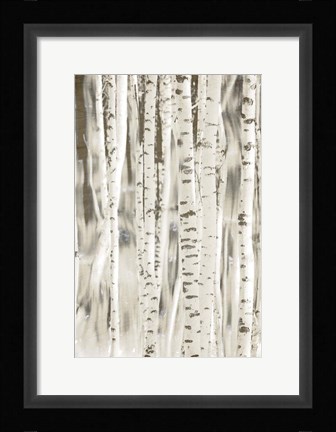 Framed Birches 3 Print