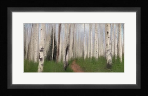 Framed Path through the Aspens Print