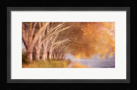 Framed Quiet Autumn Pond Print