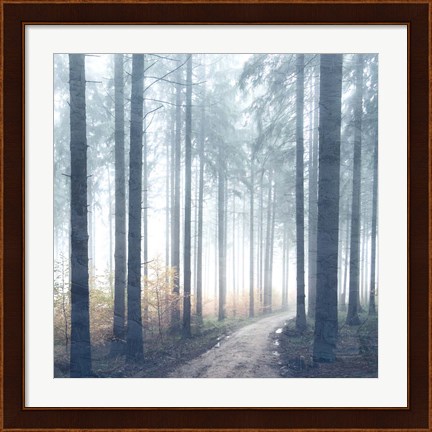 Framed Forest Road Print