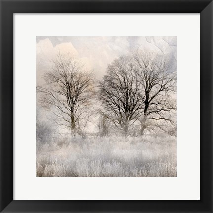 Framed Winter Frost 1 Print