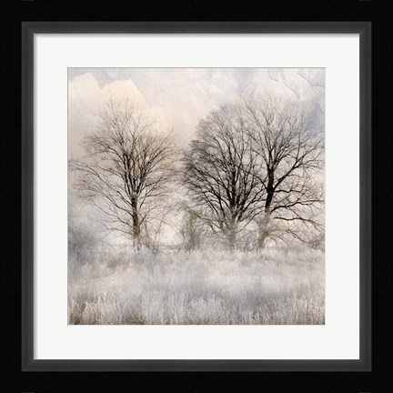Framed Winter Frost 1 Print