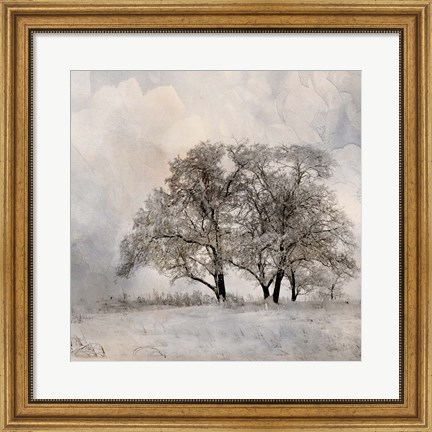 Framed Winter Frost 2 Print