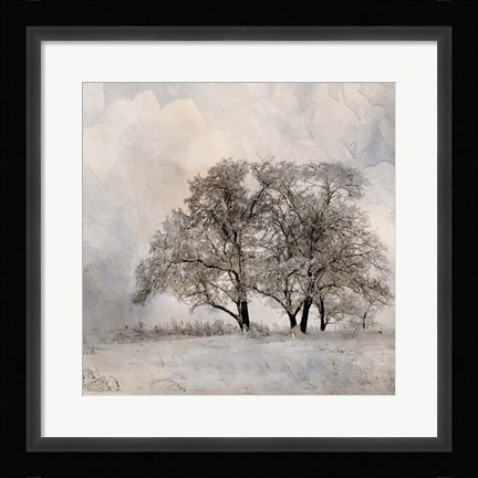 Framed Winter Frost 2 Print