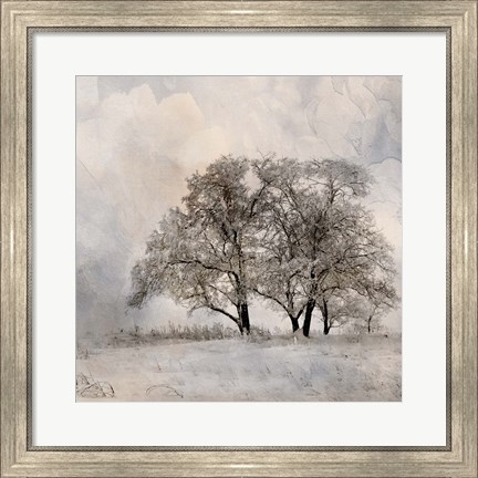 Framed Winter Frost 2 Print