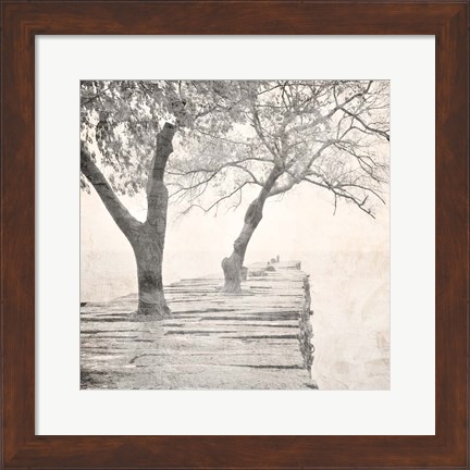 Framed Tree Pier Print