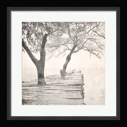 Framed Tree Pier Print