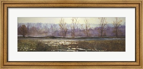 Framed Hazelmere Forest Print