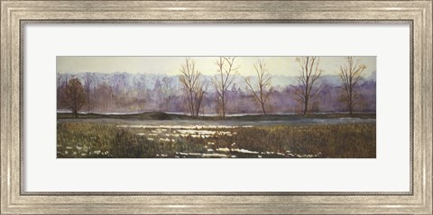 Framed Hazelmere Forest Print