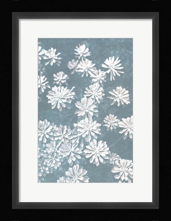 Framed Blooms Falling Print