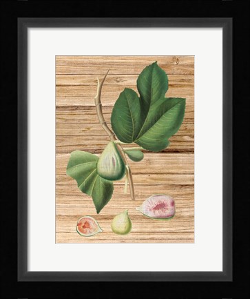 Framed Pressed Fruit 2 Print