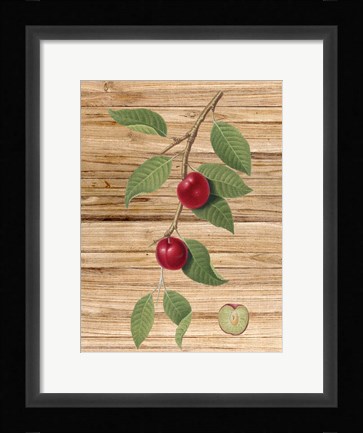 Framed Pressed Fruit 3 Print